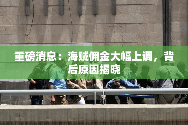 重磅消息：海贼佣金大幅上调，背后原因揭晓