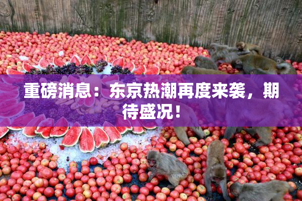 重磅消息：东京热潮再度来袭，期待盛况！