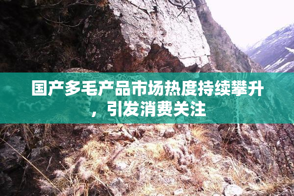 国产多毛产品市场热度持续攀升，引发消费关注