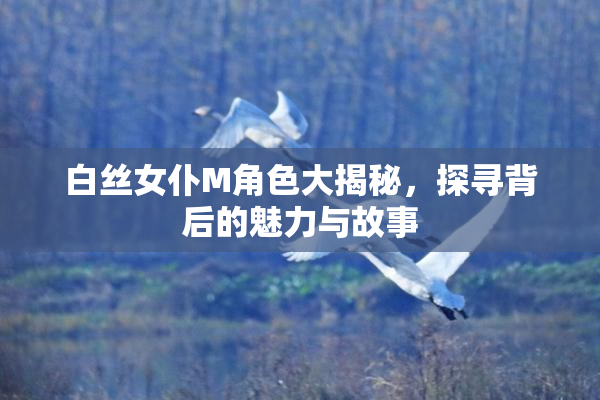 白丝女仆M角色大揭秘，探寻背后的魅力与故事