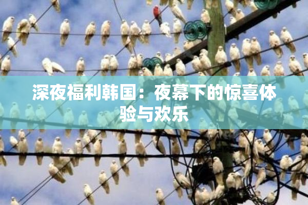 深夜福利韩国：夜幕下的惊喜体验与欢乐