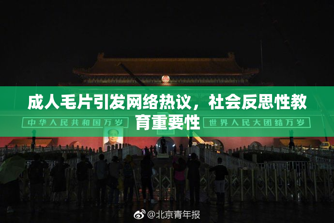 成人毛片引发网络热议，社会反思性教育重要性