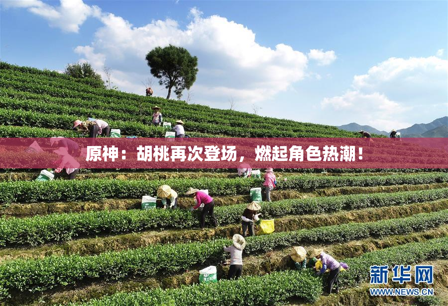 原神：胡桃再次登场，燃起角色热潮！