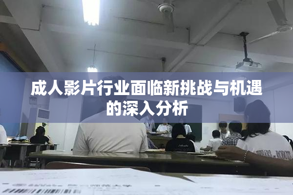 成人影片行业面临新挑战与机遇的深入分析