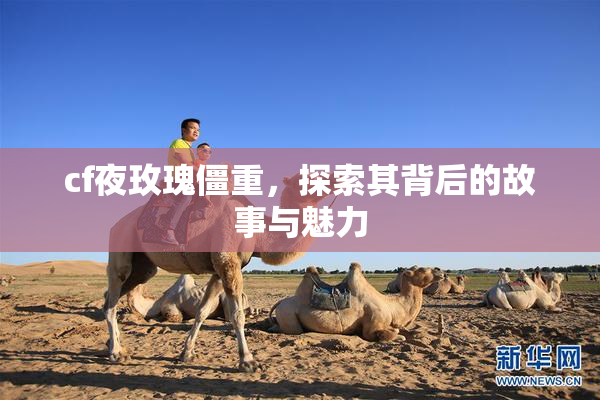 cf夜玫瑰僵重，探索其背后的故事与魅力