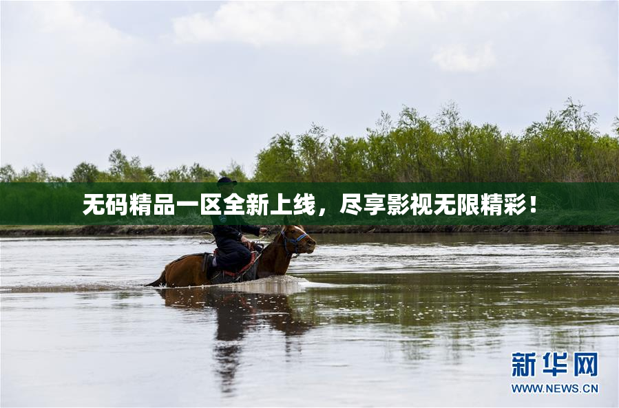 无码精品一区全新上线，尽享影视无限精彩！