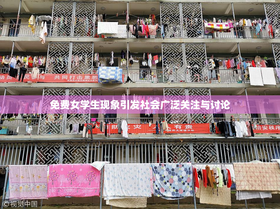 免费女学生现象引发社会广泛关注与讨论