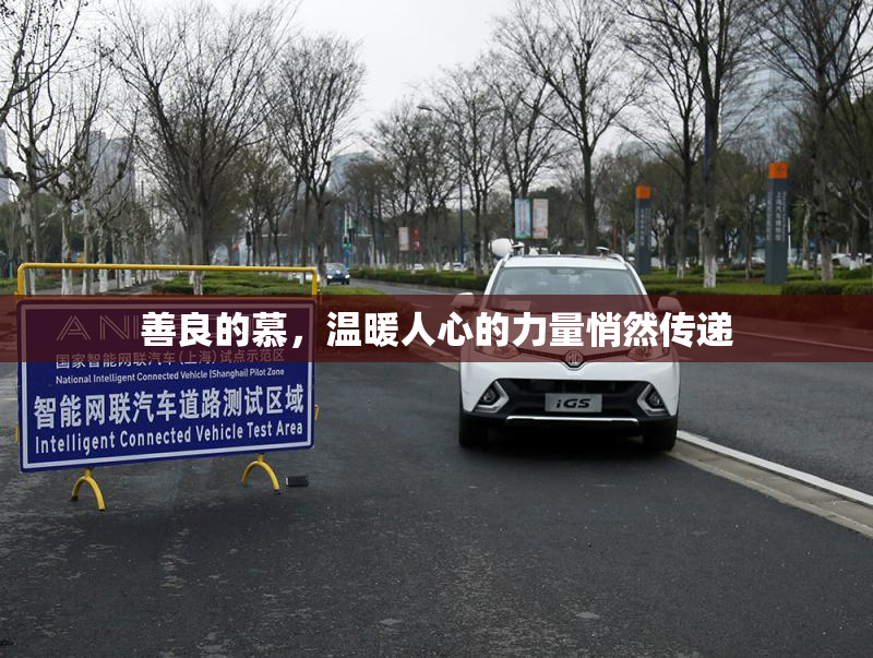 善良的慕，温暖人心的力量悄然传递