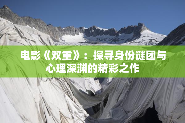 电影《双重》：探寻身份谜团与心理深渊的精彩之作