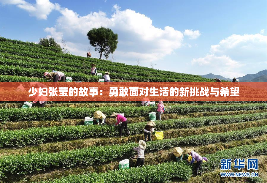 少妇张莹的故事：勇敢面对生活的新挑战与希望