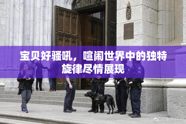 宝贝好骚吼，喧闹世界中的独特旋律尽情展现