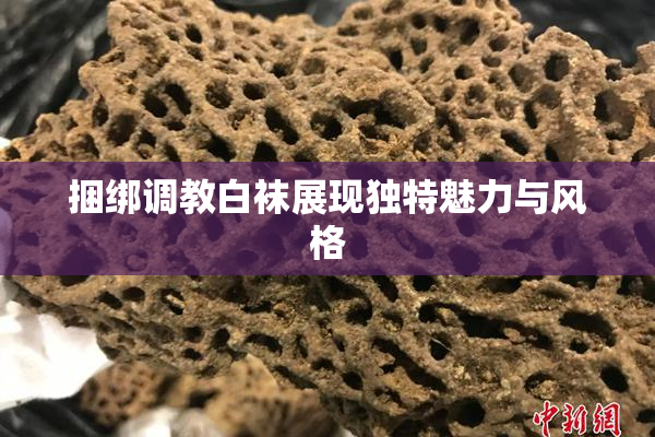 捆绑调教白袜展现独特魅力与风格
