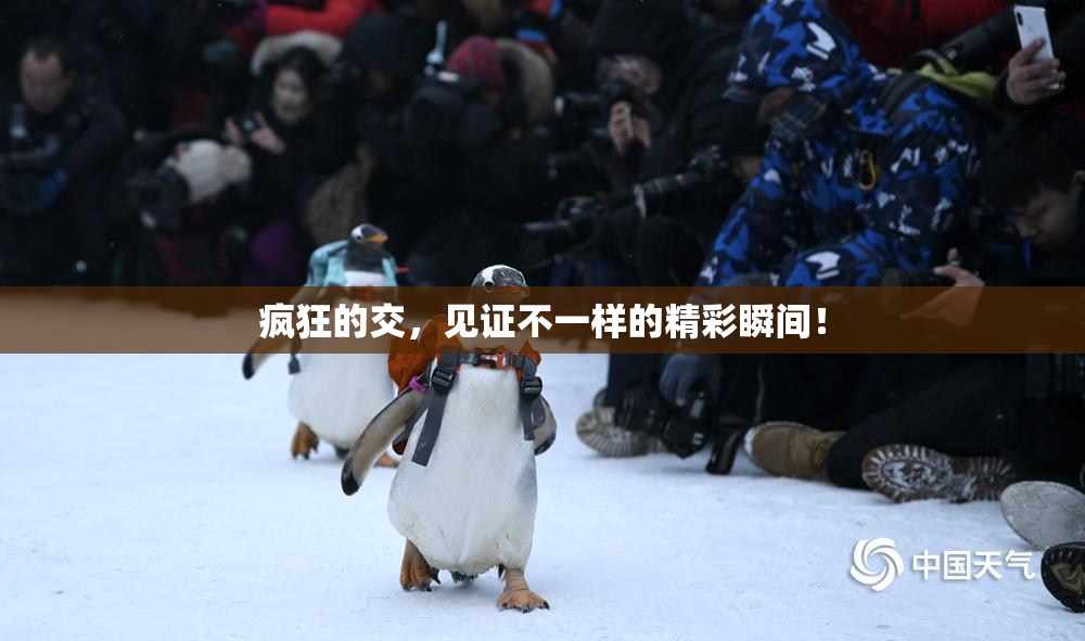 疯狂的交，见证不一样的精彩瞬间！