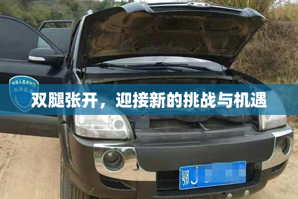 双腿张开，迎接新的挑战与机遇
