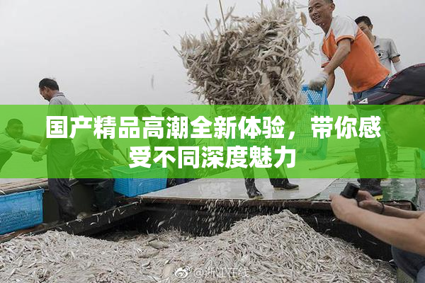 国产精品高潮全新体验，带你感受不同深度魅力