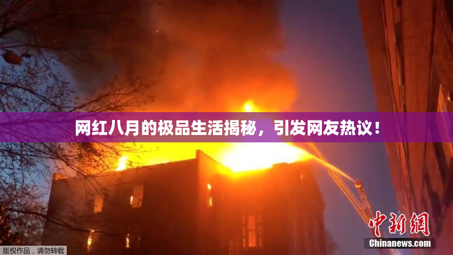 网红八月的极品生活揭秘，引发网友热议！