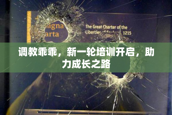 调教乖乖，新一轮培训开启，助力成长之路