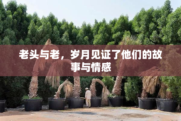 老头与老，岁月见证了他们的故事与情感