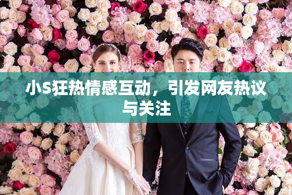 小S狂热情感互动，引发网友热议与关注