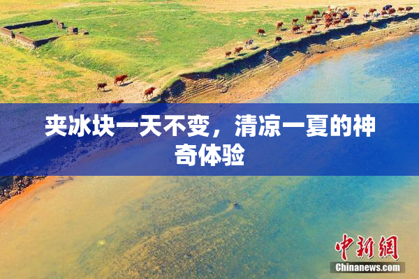 夹冰块一天不变，清凉一夏的神奇体验