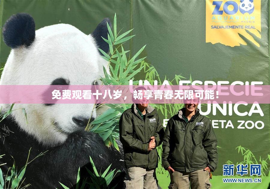 免费观看十八岁，畅享青春无限可能！