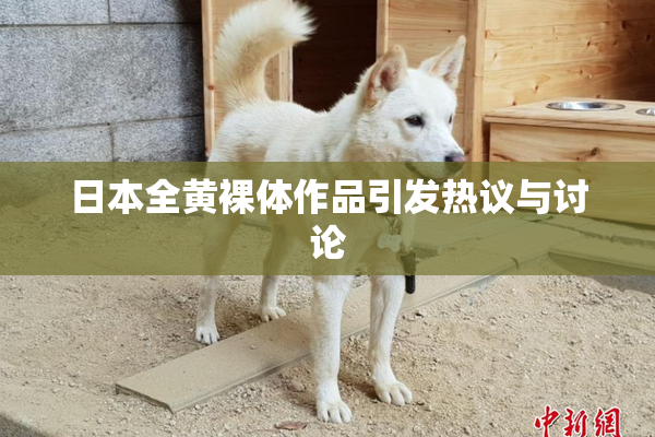 日本全黄裸体作品引发热议与讨论