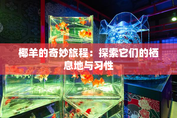椰羊的奇妙旅程：探索它们的栖息地与习性