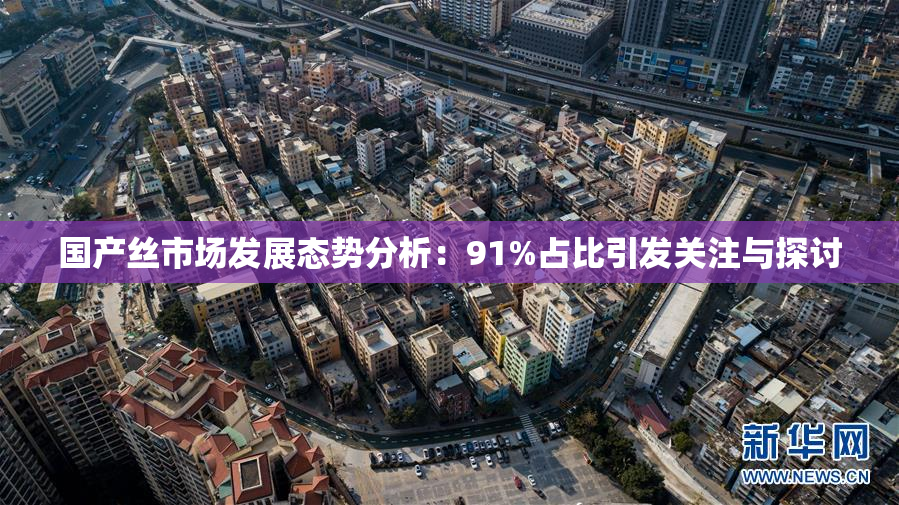 国产丝市场发展态势分析：91%占比引发关注与探讨