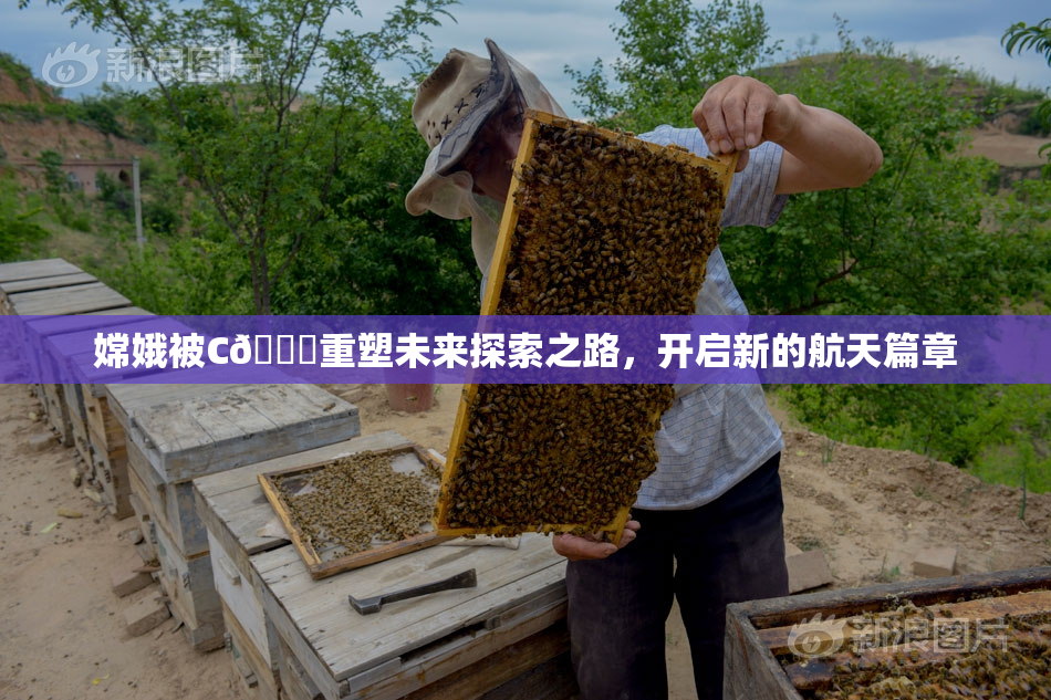 嫦娥被C🔞重塑未来探索之路，开启新的航天篇章