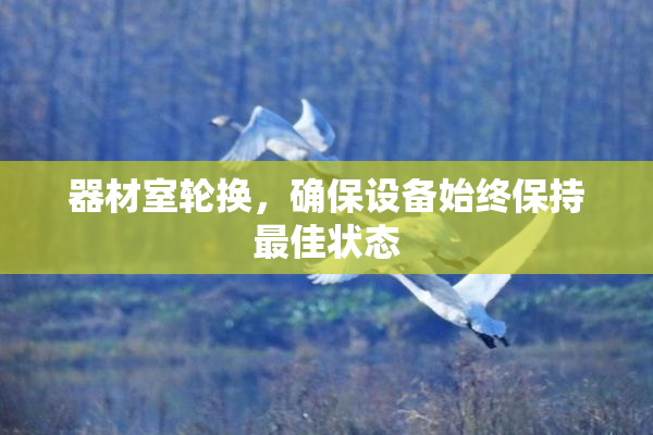 器材室轮换，确保设备始终保持最佳状态