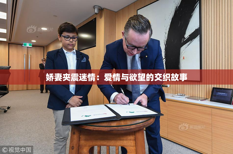 娇妻夹震迷情：爱情与欲望的交织故事