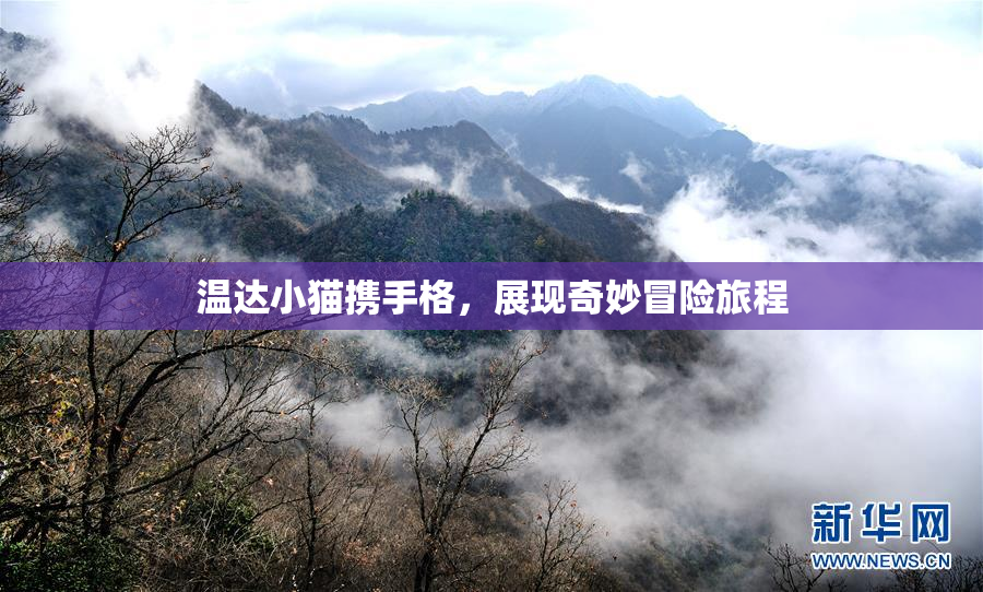 温达小猫携手格，展现奇妙冒险旅程