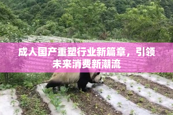 成人国产重塑行业新篇章，引领未来消费新潮流