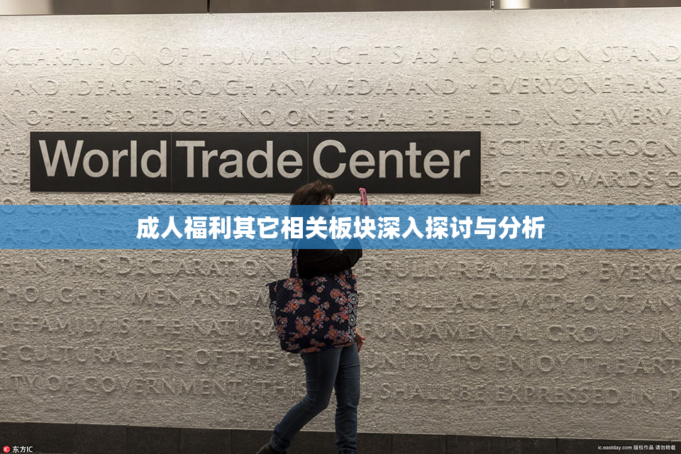 成人福利其它相关板块深入探讨与分析