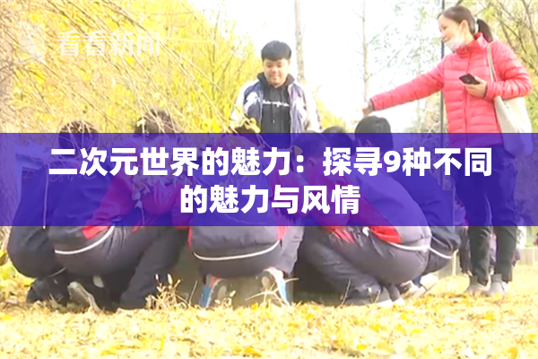 二次元世界的魅力：探寻9种不同的魅力与风情