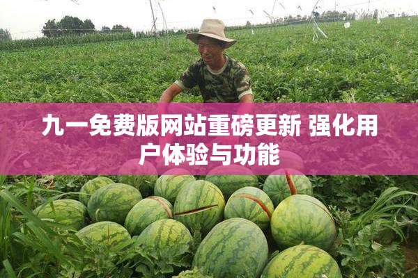 九一免费版网站重磅更新 强化用户体验与功能