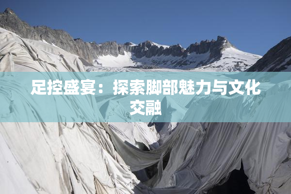足控盛宴：探索脚部魅力与文化交融