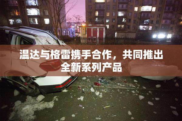 温达与格雷携手合作，共同推出全新系列产品