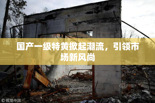 国产一级特黄掀起潮流，引领市场新风尚