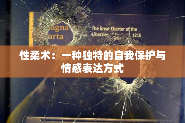 性柔术：一种独特的自我保护与情感表达方式
