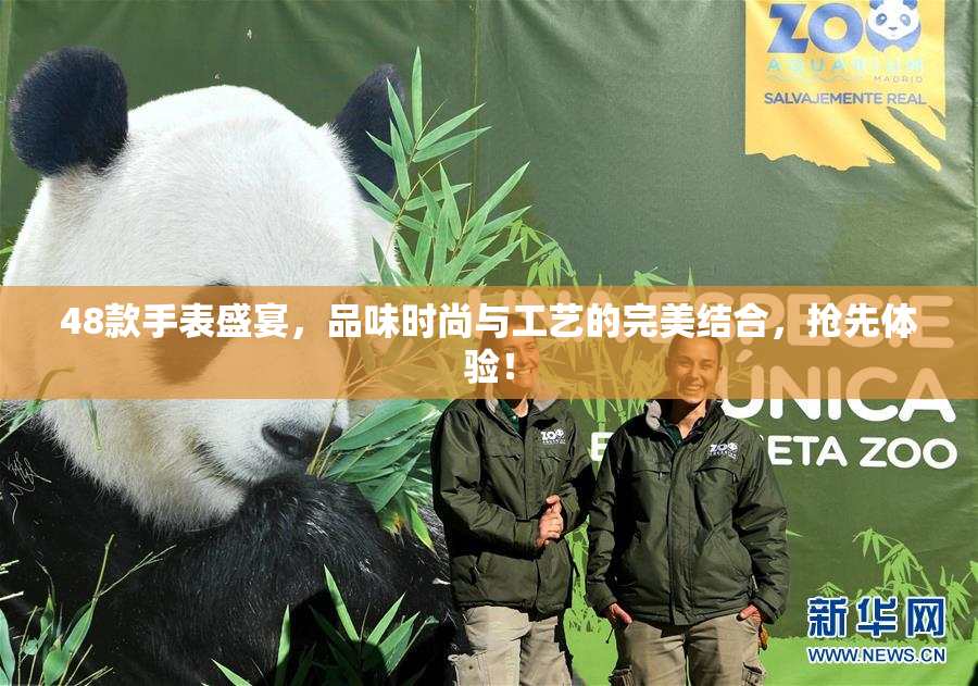 48款手表盛宴，品味时尚与工艺的完美结合，抢先体验！