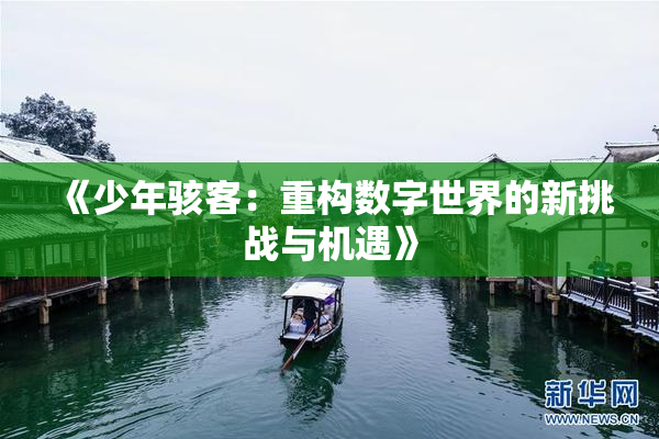 《少年骇客：重构数字世界的新挑战与机遇》