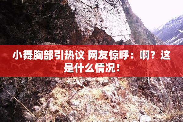 小舞胸部引热议 网友惊呼：啊？这是什么情况！