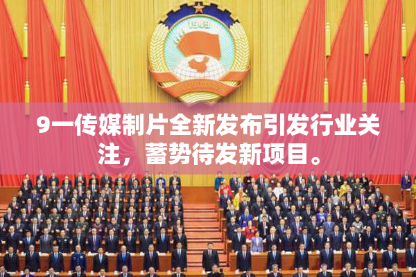 9一传媒制片全新发布引发行业关注，蓄势待发新项目。