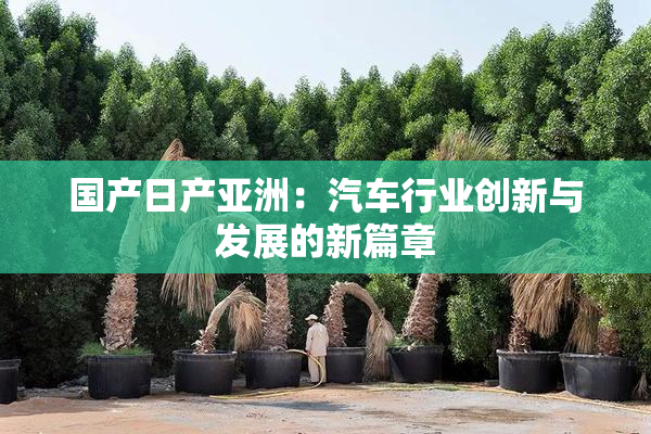 国产日产亚洲：汽车行业创新与发展的新篇章