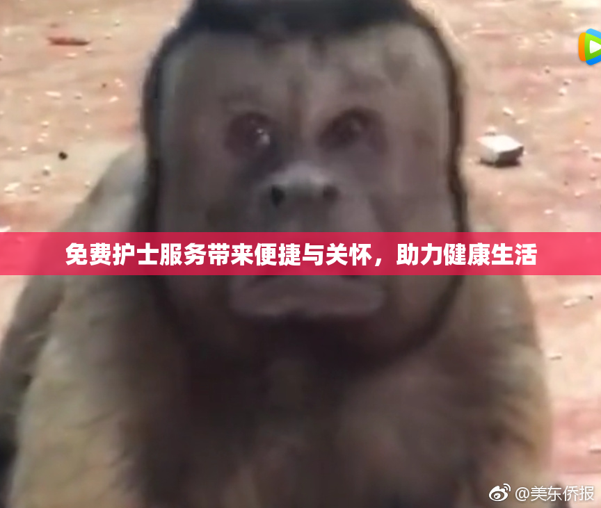 免费护士服务带来便捷与关怀，助力健康生活