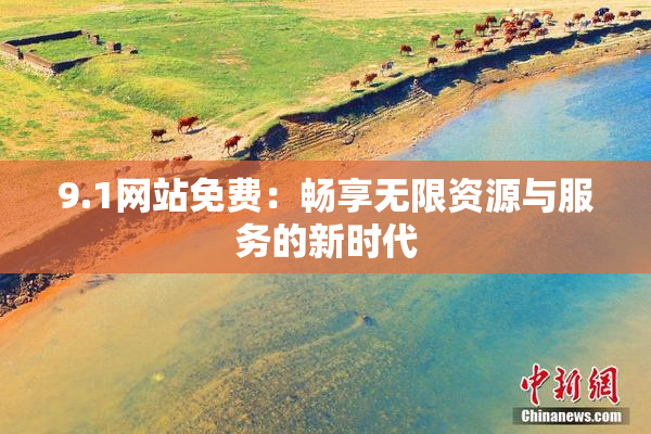 9.1网站免费：畅享无限资源与服务的新时代