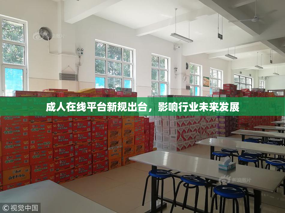 成人在线平台新规出台，影响行业未来发展