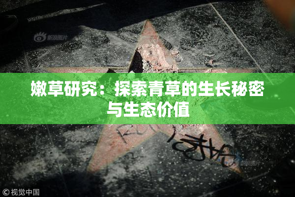 嫩草研究：探索青草的生长秘密与生态价值
