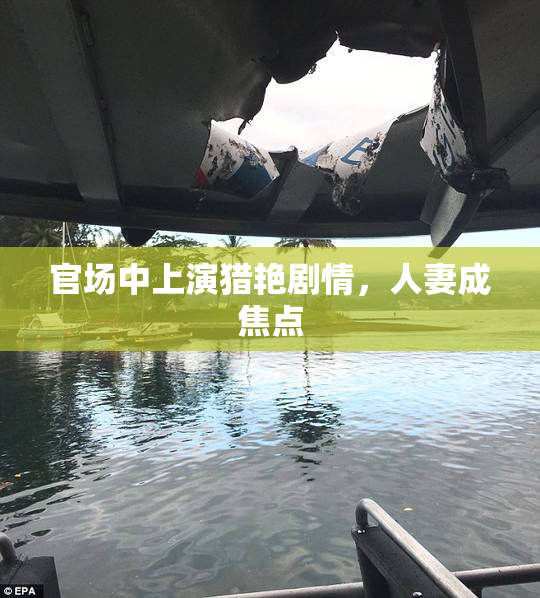 官场中上演猎艳剧情，人妻成焦点